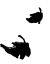 There are two black leaves.
They look like they are floating in the air, one positioned above the other.
other.