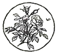 image019