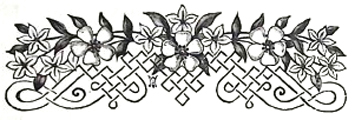 image031