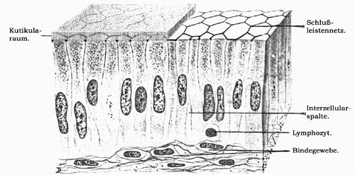 Fig. 23.