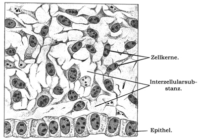 Fig. 41.
