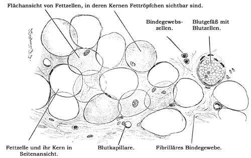 Fig. 55.