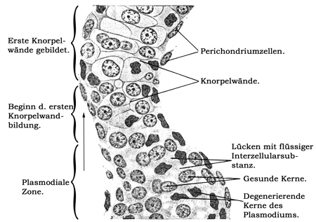 Fig. 57.