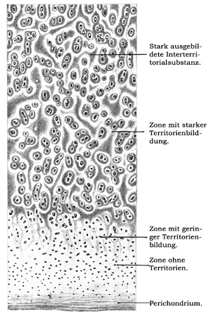 Fig. 60.