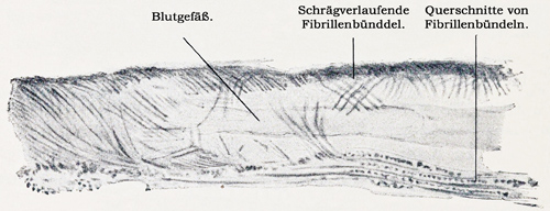 Fig. 68.