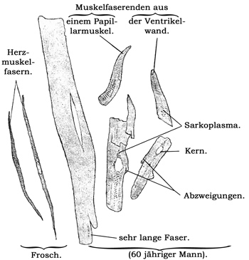 Fig. 74.