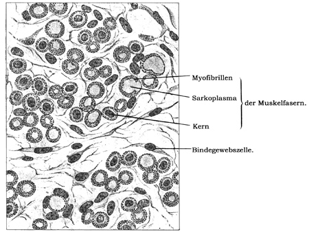 Fig. 79.
