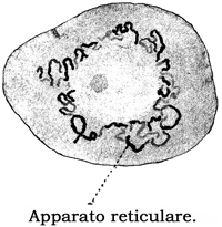 Fig. 88.