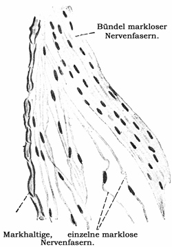 Fig. 93.