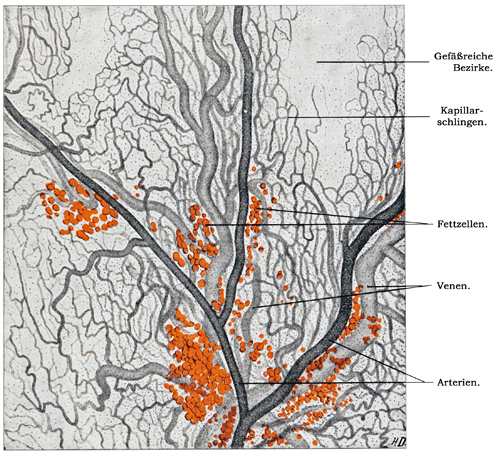 Fig. 103.