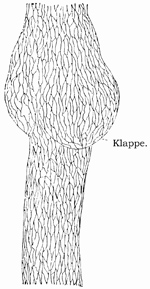 Fig. 111.