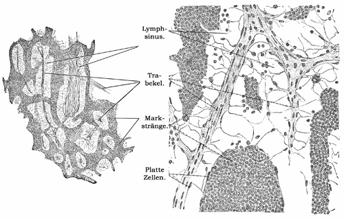 Fig. 116-117.