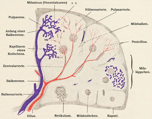 Fig. 119.