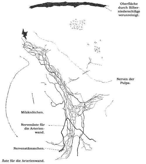 Fig. 123.