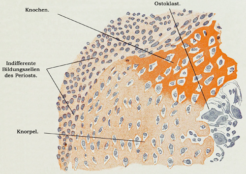 Fig. 133.