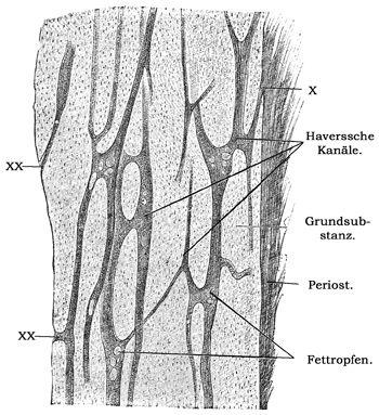 Fig. 134.