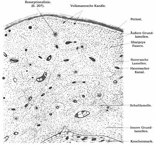 Fig. 136.