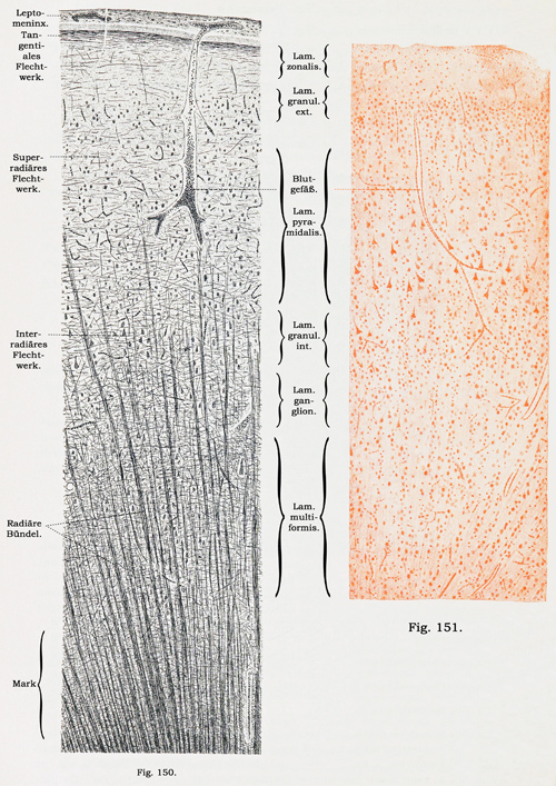Fig. 150-151