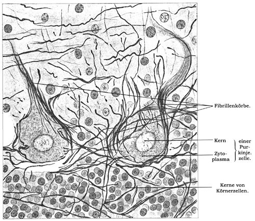 Fig. 157.