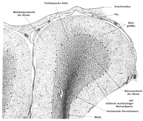 Fig. 159.