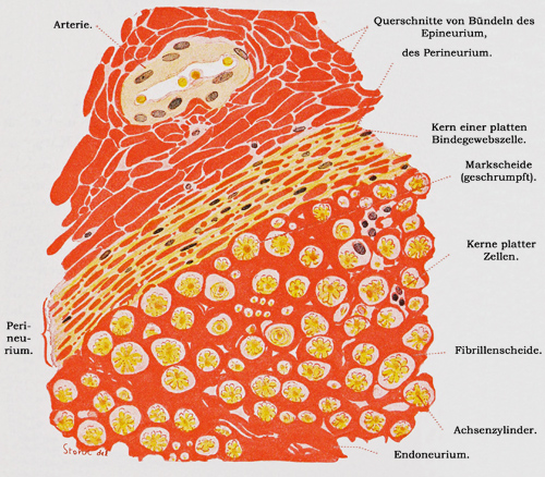 Fig. 163.