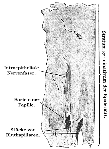 Fig. 170.