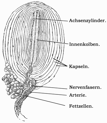 Fig. 173.