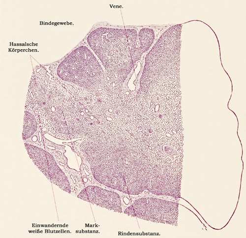 Fig. 185.