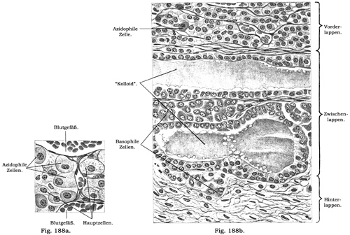 Fig. 188.