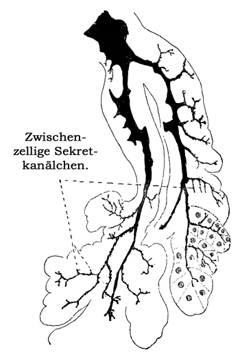 Fig. 196.