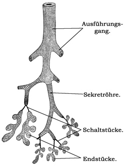 Fig. 203.
