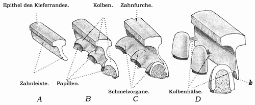 Fig. 208.