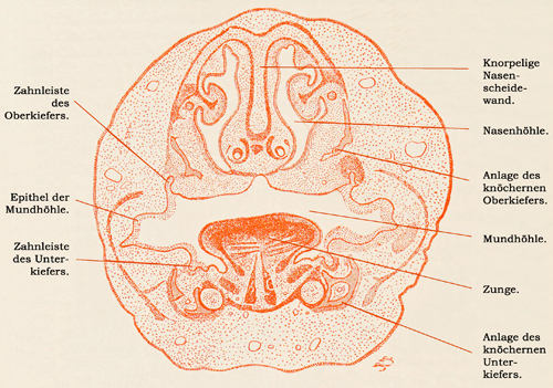 Fig. 209.