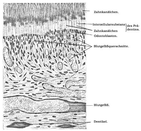 Fig. 222.