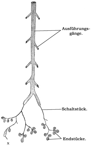 Fig. 248.