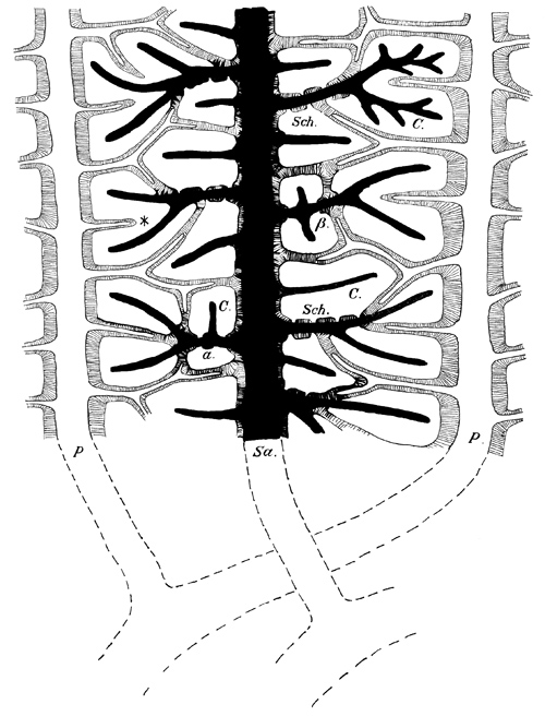 Fig. 255.