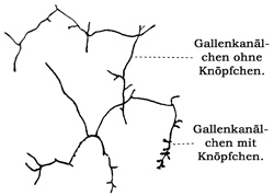 Fig. 259.