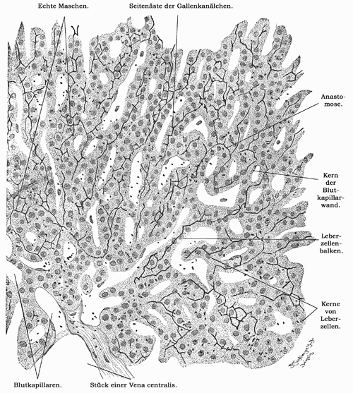 Fig. 260.