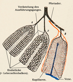 Fig. 268.