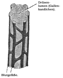 Fig. 270.