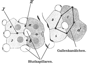Fig. 271.