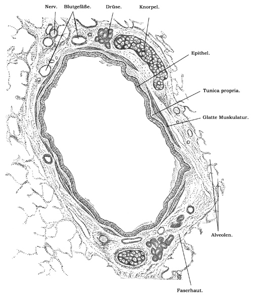 Fig. 280.