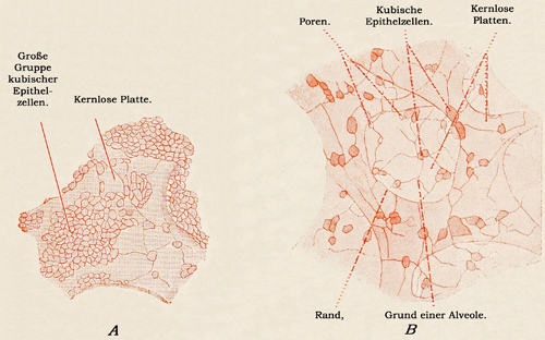 Fig. 282.