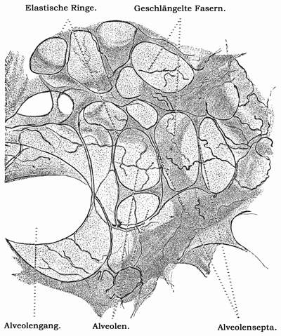Fig. 283.