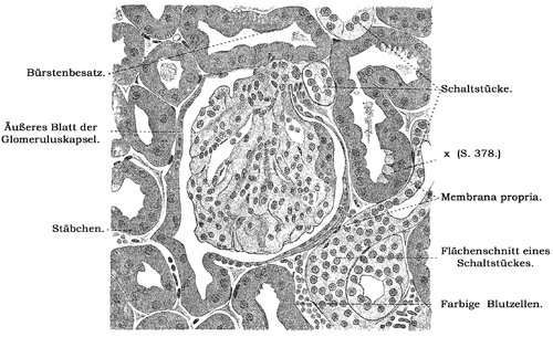 Fig. 288.