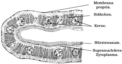 Fig. 289.