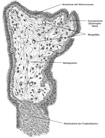 Fig. 322.