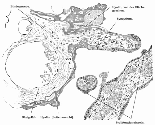 Fig. 324.