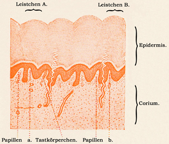 Fig. 328.
