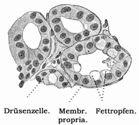 Fig. 358.